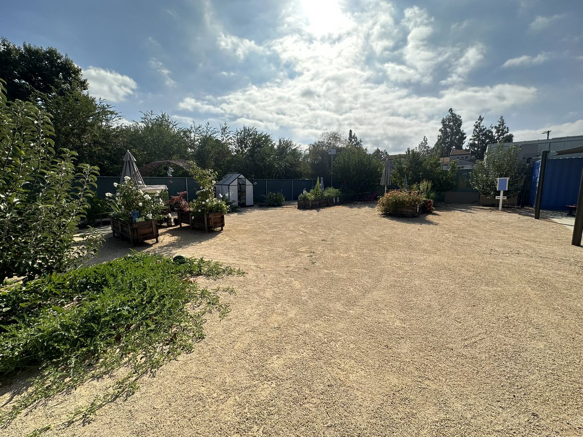 What a gorgeous day to be in the AEW garden. No wonder the watermelon are so happy! Thank you to V for the great shot.