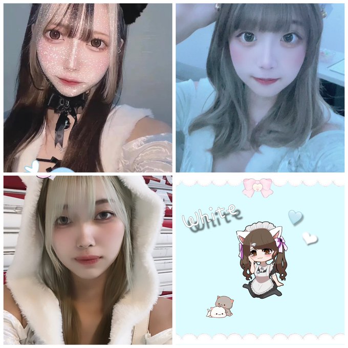 WHITEのツイート