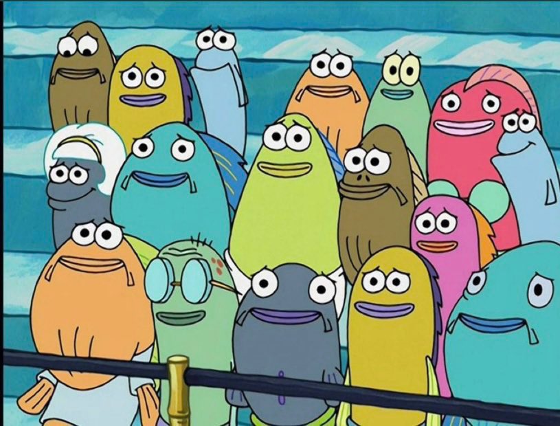 hayes 🐥 tweet media