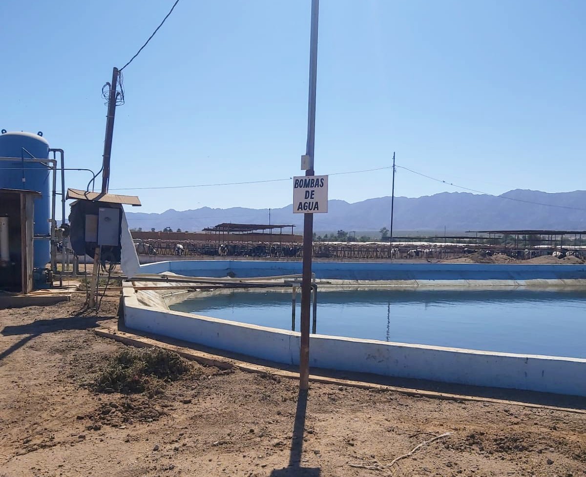 UCEBCN's tweet photo. Se realizaron visitas de verificación con la finalidad de obtener el certificado de Buenas Prácticas Pecuarias en más de 30 unidades de producción primaria en #Ensenada y #Mexicali
#BajaCalifornia 
#senasica #CEFPPBC https://t.co/nwOjeC1dsC