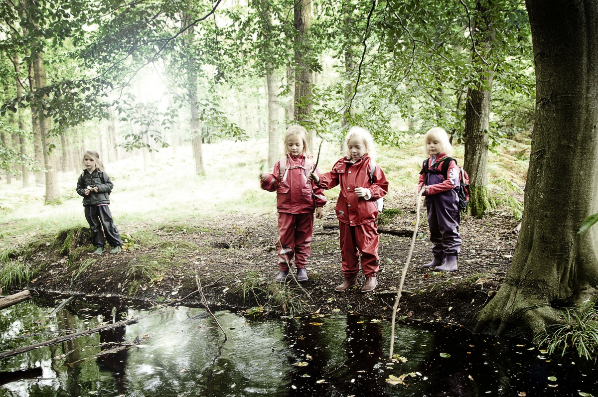 denmarkdotdk's tweet photo. Cold or warm, rain or shine in 🇩🇰 some kids are outdoors all the time🌳

In 🇩🇰s +500 forest kindergartens nature is the playground &amp; toys are what nature offers 🐌🌱 

Studies show that kids in forest kindergartens are less sick, develop better motor skills &amp; have fewer conflicts https://t.co/wcp7hgOGVH