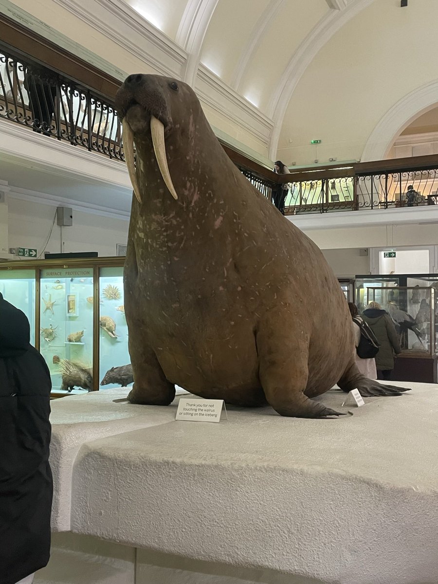 Louise Crane tweet media