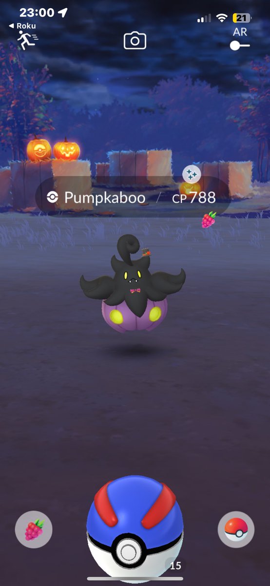 itsturtlejr's tweet photo. First event shiny in a while! #4 event shiny in the bag! #pokemongoapp #teamturtlejr #teammysticpogo https://t.co/fBnwoiix7I