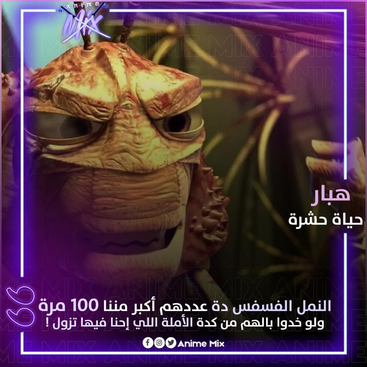 EsRaa215199's tweet photo. #غزه_الان https://t.co/hQbV01yrva
