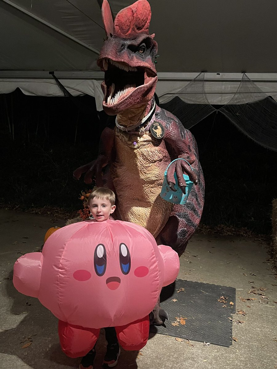 heatherSAYShey's tweet photo. Kirby visits the zoo! @meskerparkzoo #MPZBATZ https://t.co/KhlFWJhqhh