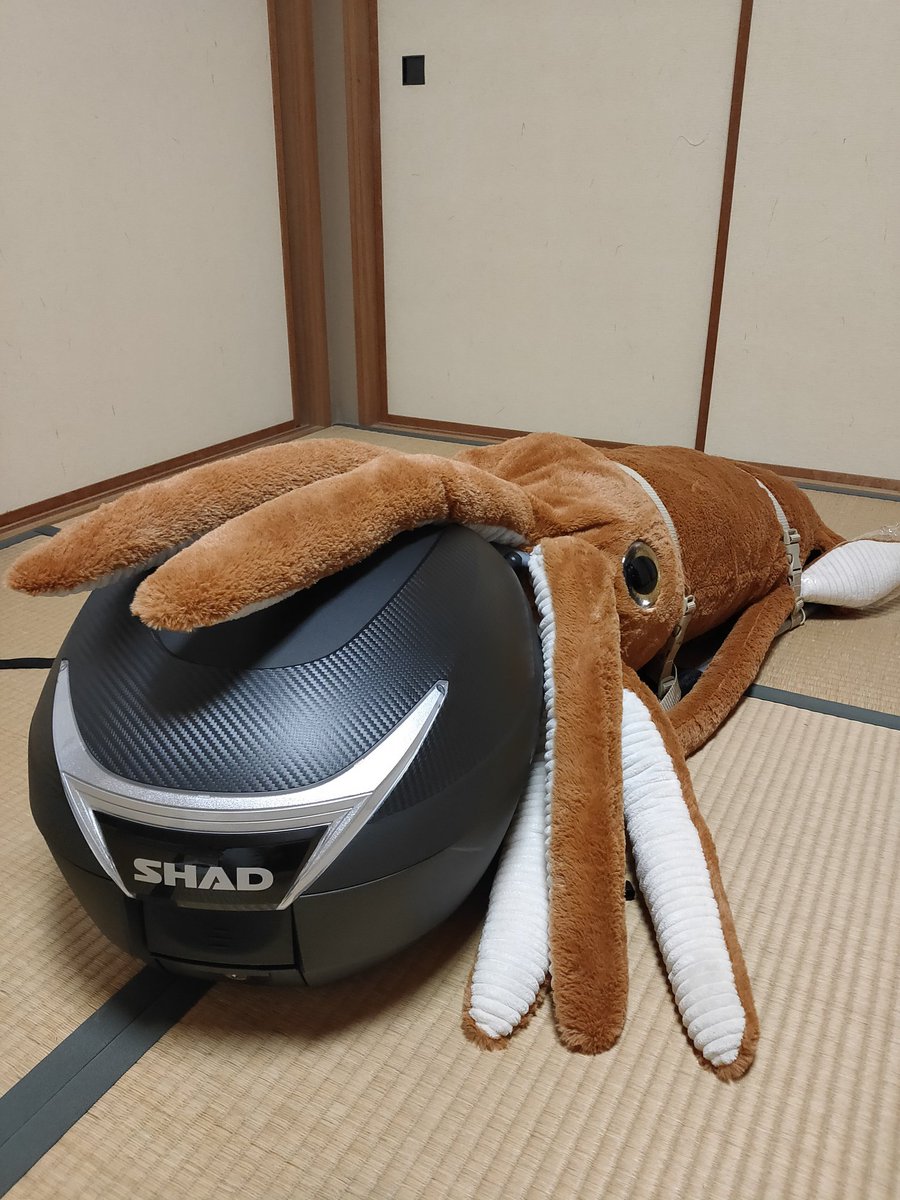 shin_roku's tweet photo. トップケースが届き、自分の席が奪われる!!とばかりに、イカが襲い掛かります。使わない時は取り外せるので大丈夫ですよ。
取り付けは、付属の皿小ねじの長さが足りず、M6×50mmを追加購入する必要あり。20分程で完了。
合計70L超の積載力を手に入れました
#リード125
#SHAD
#SH34
#ダイオウイカ https://t.co/y84Q2DX03E