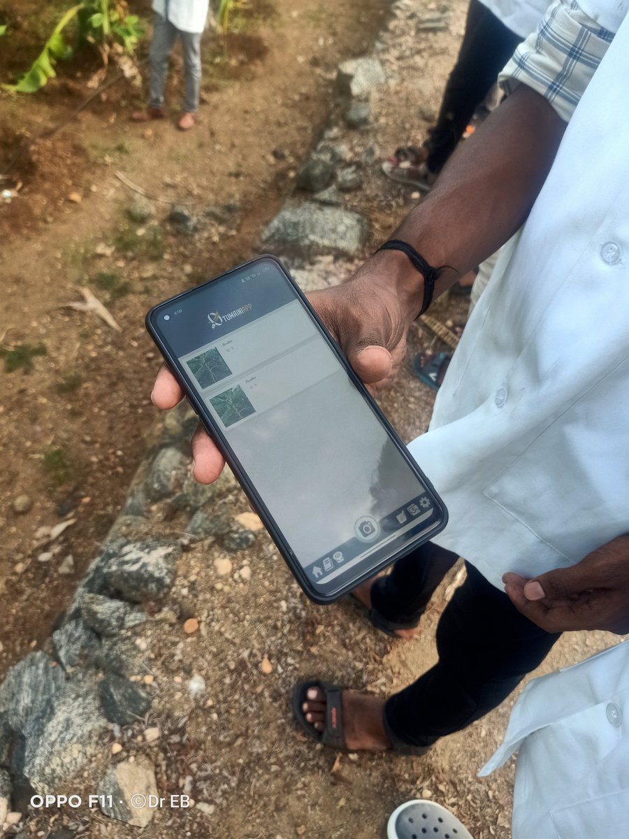 On farm testing and validation of banana AI app (TUMAINI).Real time data collection and impact studies <a href="/BiovIntCIAT_eng/">Alliance of Bioversity International and CIAT</a> <a href="/BiovIntCIAT_esp/">Alianza de Bioversity International y el CIAT</a> <a href="/CGIAR/">CGIAR</a> <a href="/DitaMiguel/">Miguel Dita</a> <a href="/MICHAELSELVARA7/">MICHAEL GOMEZ SELVARAJ - Phenomics Lab</a> <a href="/Monica_CIAT/">Monica Carvajal</a>