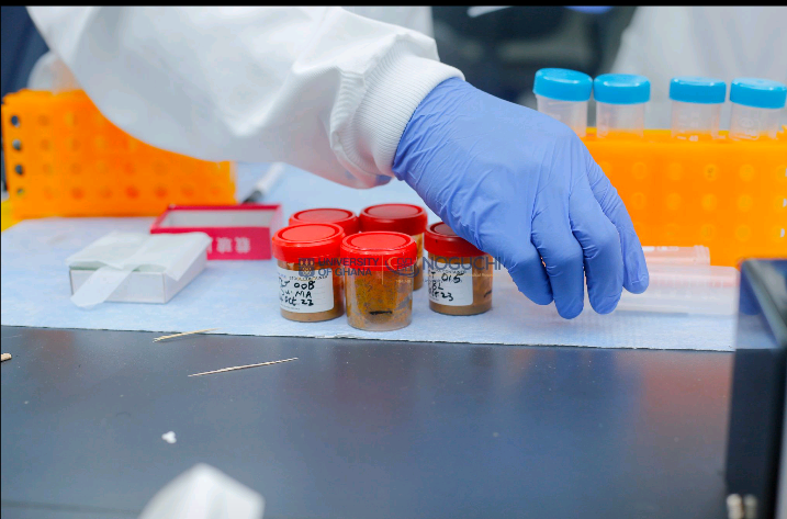 SenyoBotchie's tweet photo. The Third Country Training Fellowship is a uniquely well structured program at NMIMR designed to train researchers &amp; clinicians from Sub-Sarahan African countries on improved  methods of disease diagnosis and control especially with Parasites!!! 

Together, Yes we can!

#IMPACT!! https://t.co/hAIOxByEo4