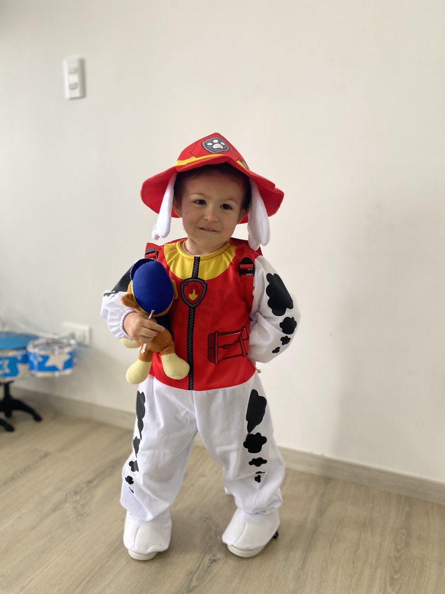 DanielaCorreaG2's tweet photo. Emilio en la casa: Mamá soy marshall de paw patrol. 🐾

Emilio en el jardín: Profe soy una vaca 😅 https://t.co/aQojpZz4oz