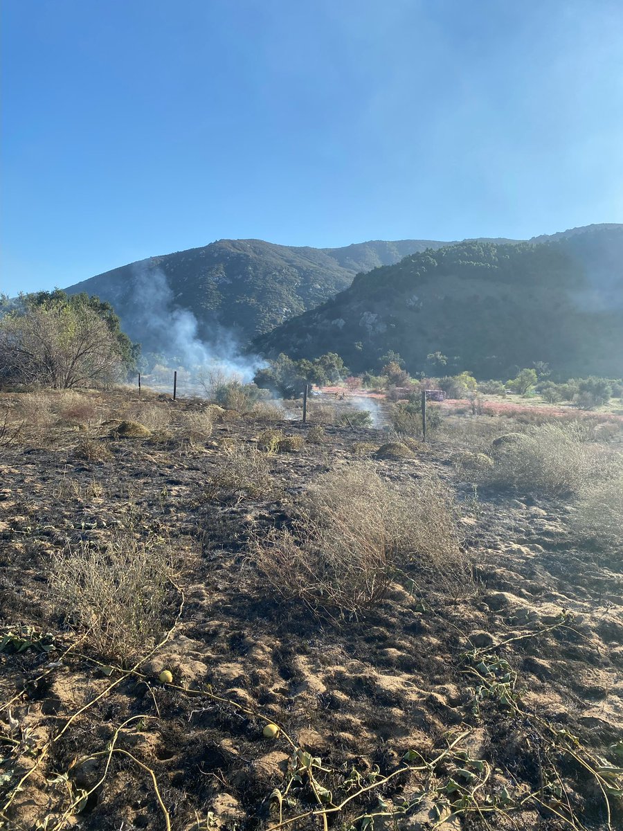 CALFIRESANDIEGO's tweet photo. #RinconFire [Final] Due to more accurate mapping, the size of the fire is listed as 7.6 acres. Firefighters will remain in the area to strengthen control lines and extinguish hotspots for several hours. 

This will be the final report unless conditions change. https://t.co/Yl7fwWmvJW