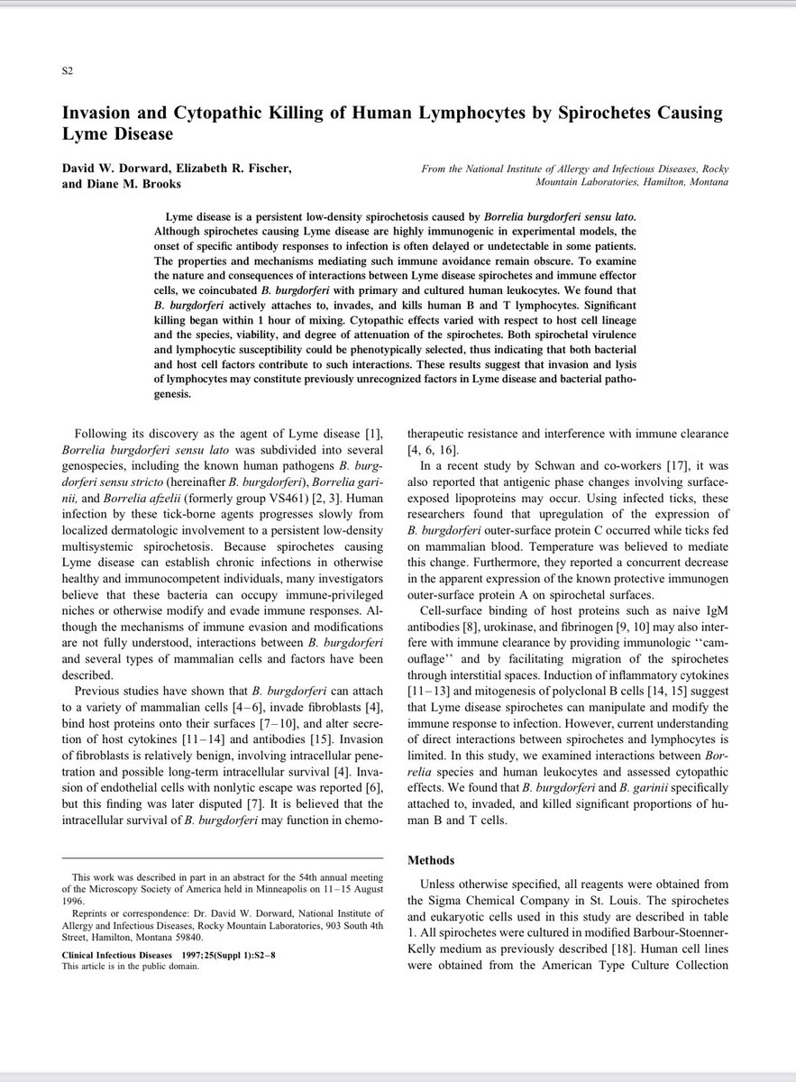 BeauxReliosis's tweet photo. “We found that B. burgdorferi actively attaches to, invades, and kills human B and T lymphocytes.”

-Rocky Mountain Laboratory (NIAID), 1996

#LymeDisease https://t.co/R7RtM3alEN
