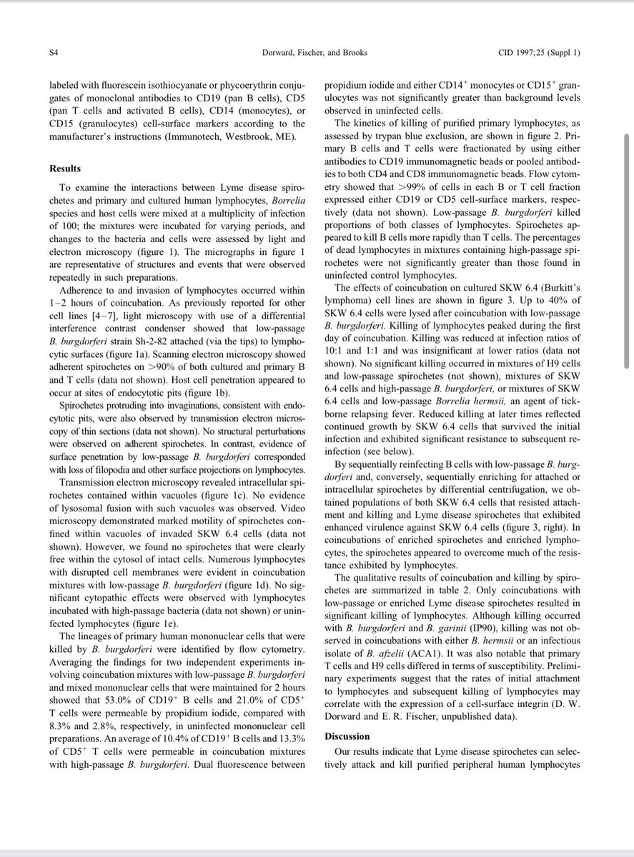 BeauxReliosis's tweet photo. “We found that B. burgdorferi actively attaches to, invades, and kills human B and T lymphocytes.”

-Rocky Mountain Laboratory (NIAID), 1996

#LymeDisease https://t.co/R7RtM3alEN
