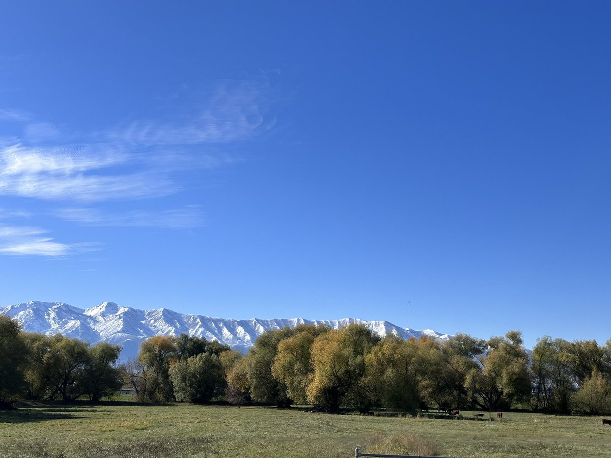 MEATritionCom's tweet photo. The beautiful field I drive by to get to town now has some cows grazing #cachevalleyutah https://t.co/gO9Y16BZVg