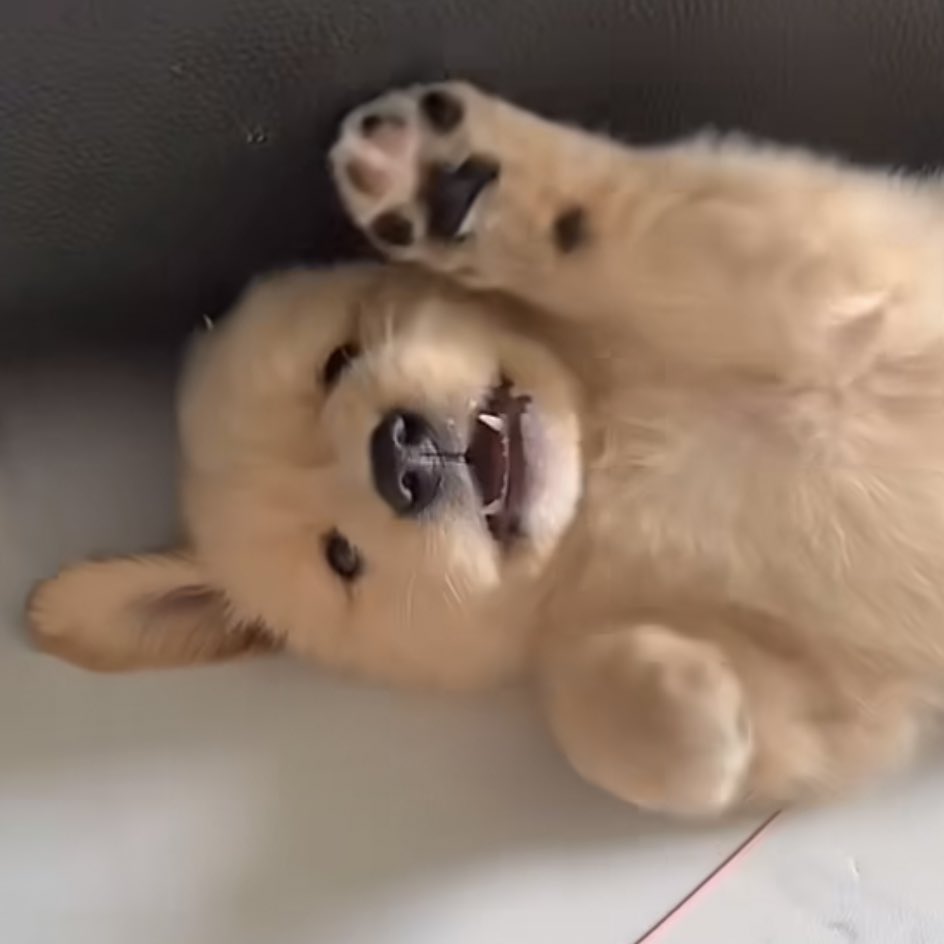 นี่มันวันเสาร์นะ ปลุกทำไมเนี้ยะ 😠 งอน