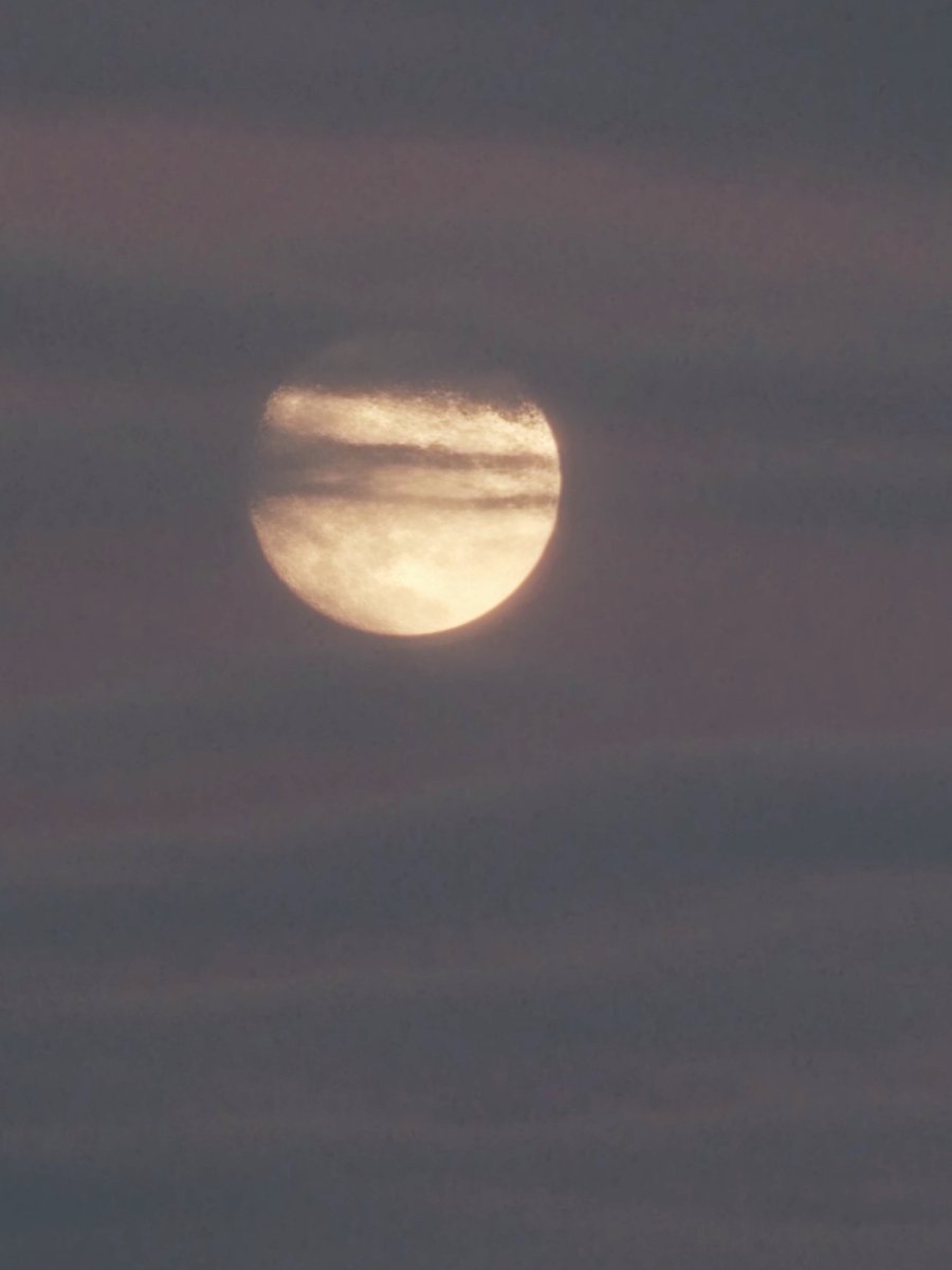 OutspokenDesi's tweet image. The moon is a loyal companion. It never leaves. It's always there, watching, steadfast, knowing us in our light and dark moments, changing forever just as we do. 

- Tahereh Mafi 

#moonmagic #fullmoonvibes #nighttimeviews