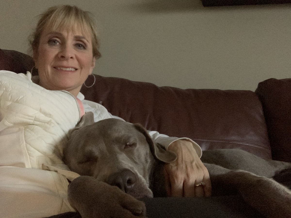 TracyButlerABC7's tweet image. A cozy #Friday evening with my Bailey #silverlab