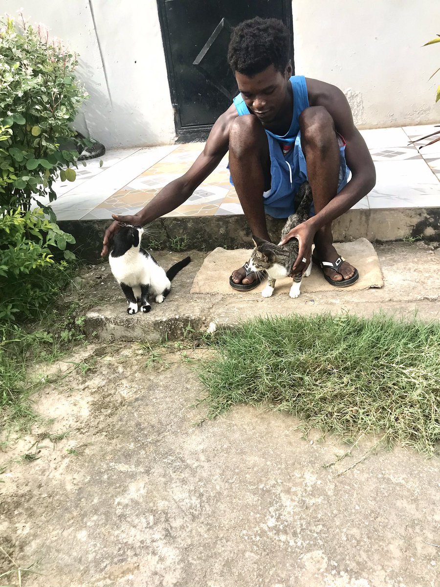 Abdoulie (@abdouli70207352) on Twitter photo 