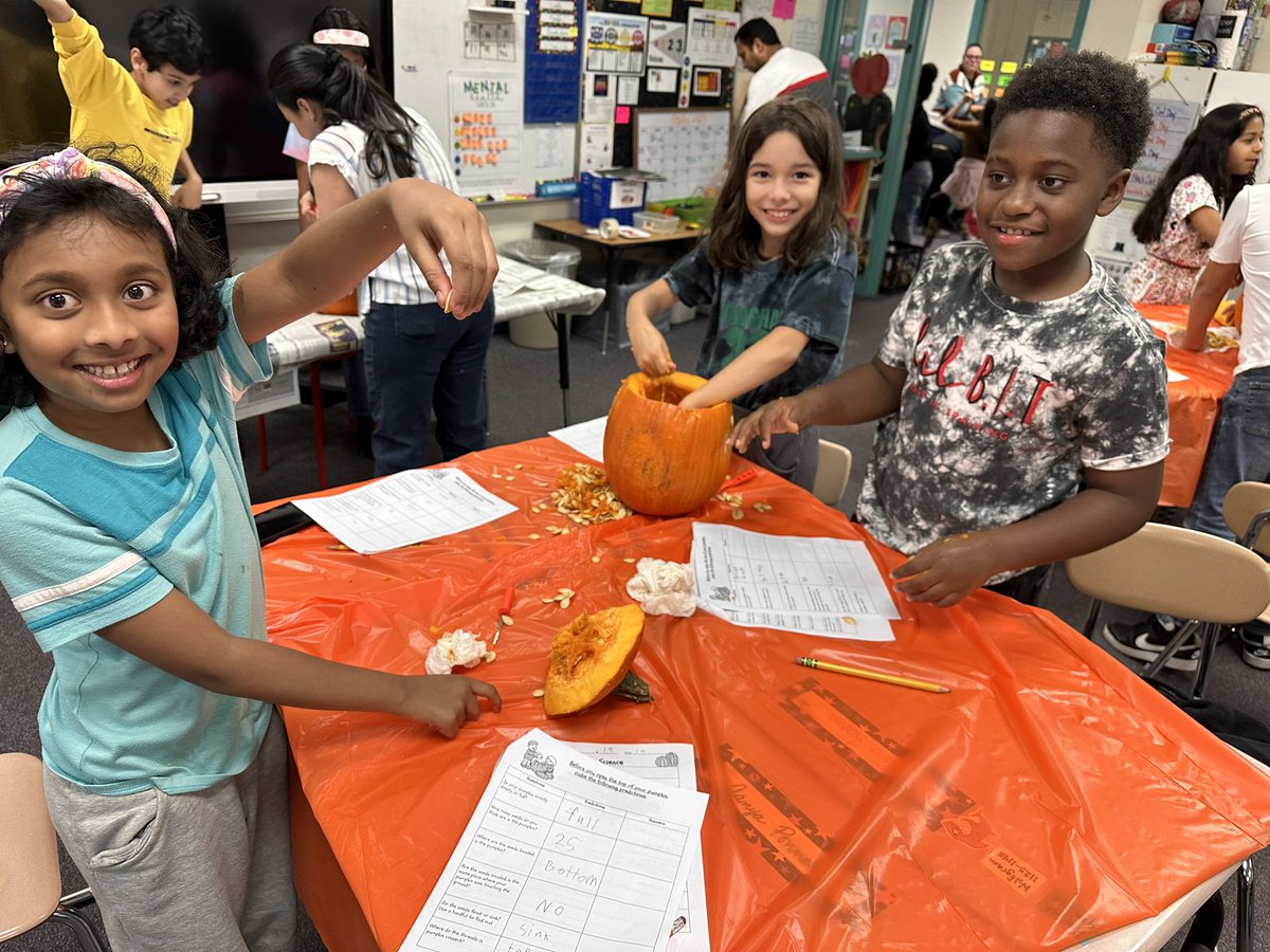 What is fourth grade know for at @CowlishawKoalas? Pumpkin Science! 🎃🐨 #rockishaw