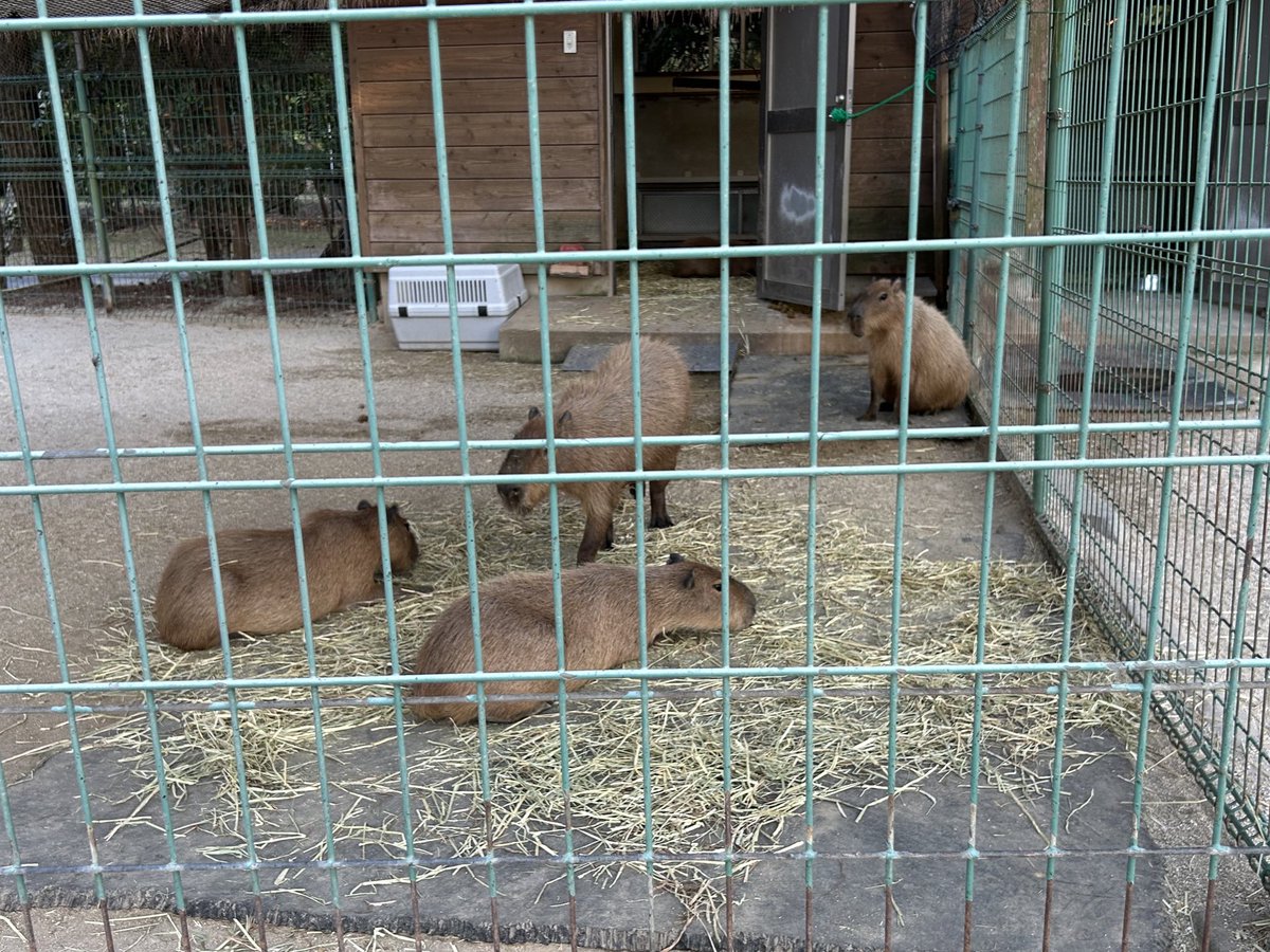 おはようございます。