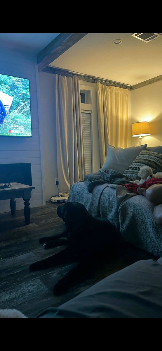 bcchief1979's tweet photo. #OPLive #OPNation @danabrams 
Shelby and Monty love OPLive on @ReelzChannel https://t.co/SYryUehLJA