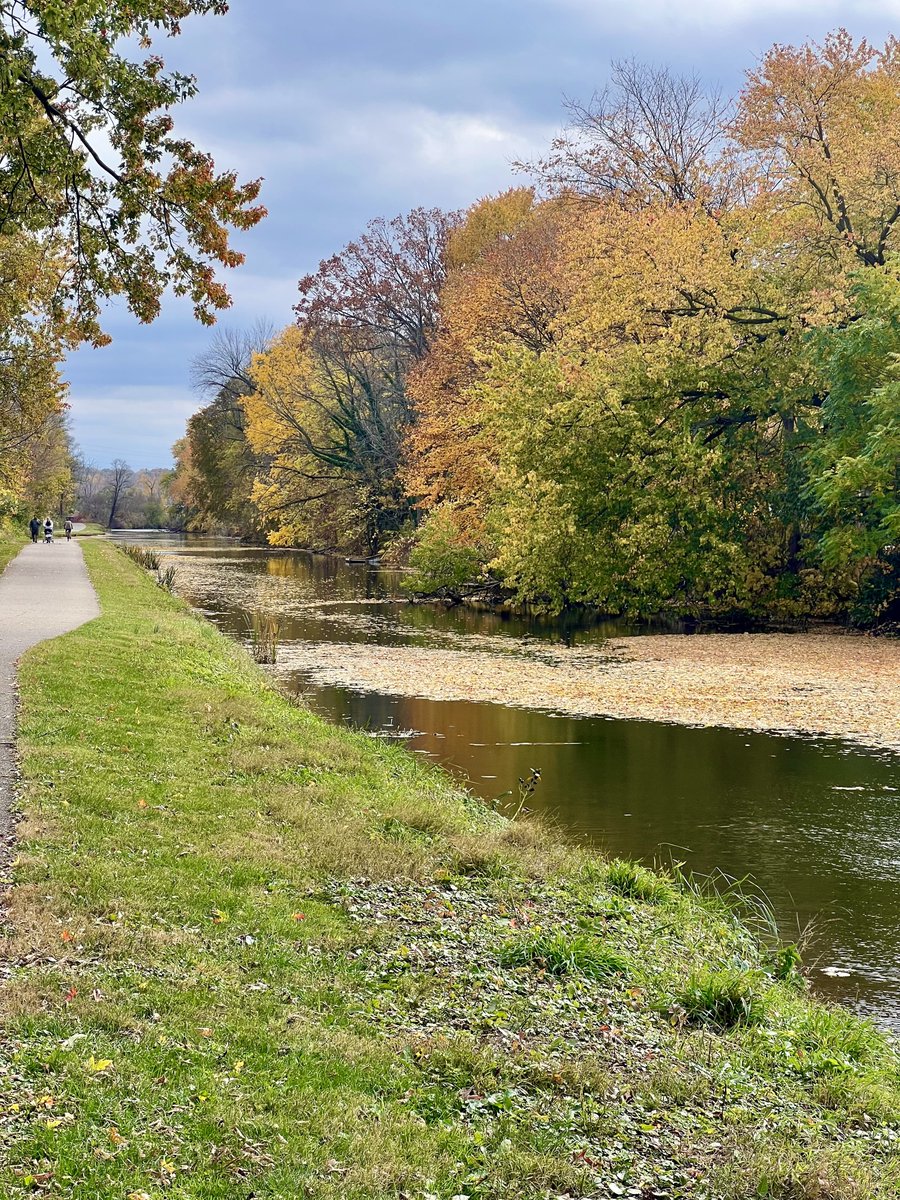 Allentown1711's tweet photo. Wrapped up the most magnificent week of 🚴🏻🚴🏻with another PERFECT day of 🚴🏻🚴🏻🚴🏻!  Clocked 146 miles this week and enjoyed every one of them! My heart is overflowing! #BikeLife #GoodForTheMindBodyAndSoul #OctoberMiles #IndianSummer #GratefulHeart 💫🧡🍁🍂🔥🔥 https://t.co/ep8QwMYmQp
