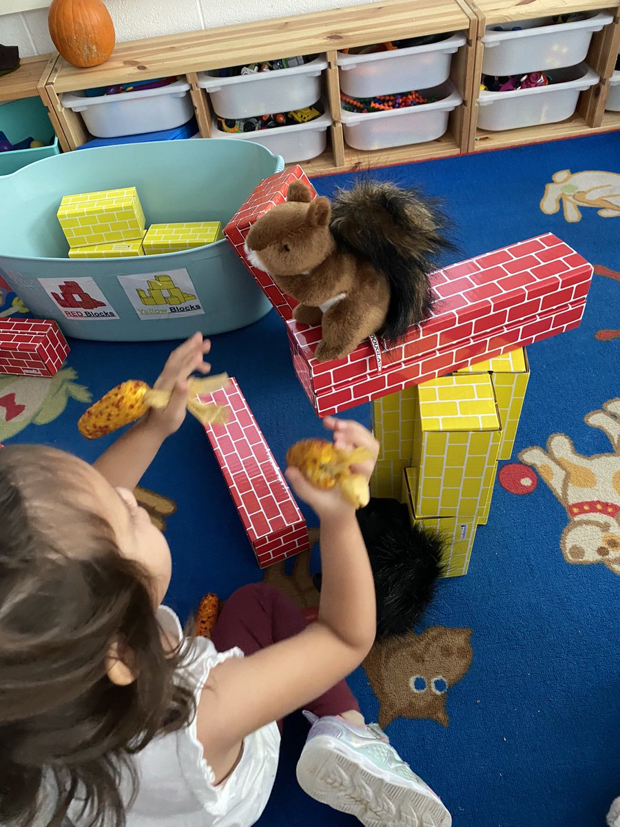 Ms.Grove’s Class tweet media