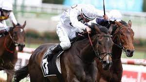 Grahame_Begg's tweet photo. Regrettably Lunar Flare has been ruled out of the Melbourne Cup after suffering a career ending injury after last nights race &amp; she will be retired immediately.She has been a very much loved part of our stable for the last 4 years &amp; we are devastated for her amazing owners. https://t.co/LoYAt5a7Xp