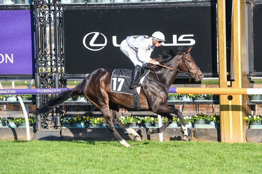 Grahame_Begg's tweet photo. Regrettably Lunar Flare has been ruled out of the Melbourne Cup after suffering a career ending injury after last nights race &amp; she will be retired immediately.She has been a very much loved part of our stable for the last 4 years &amp; we are devastated for her amazing owners. https://t.co/LoYAt5a7Xp