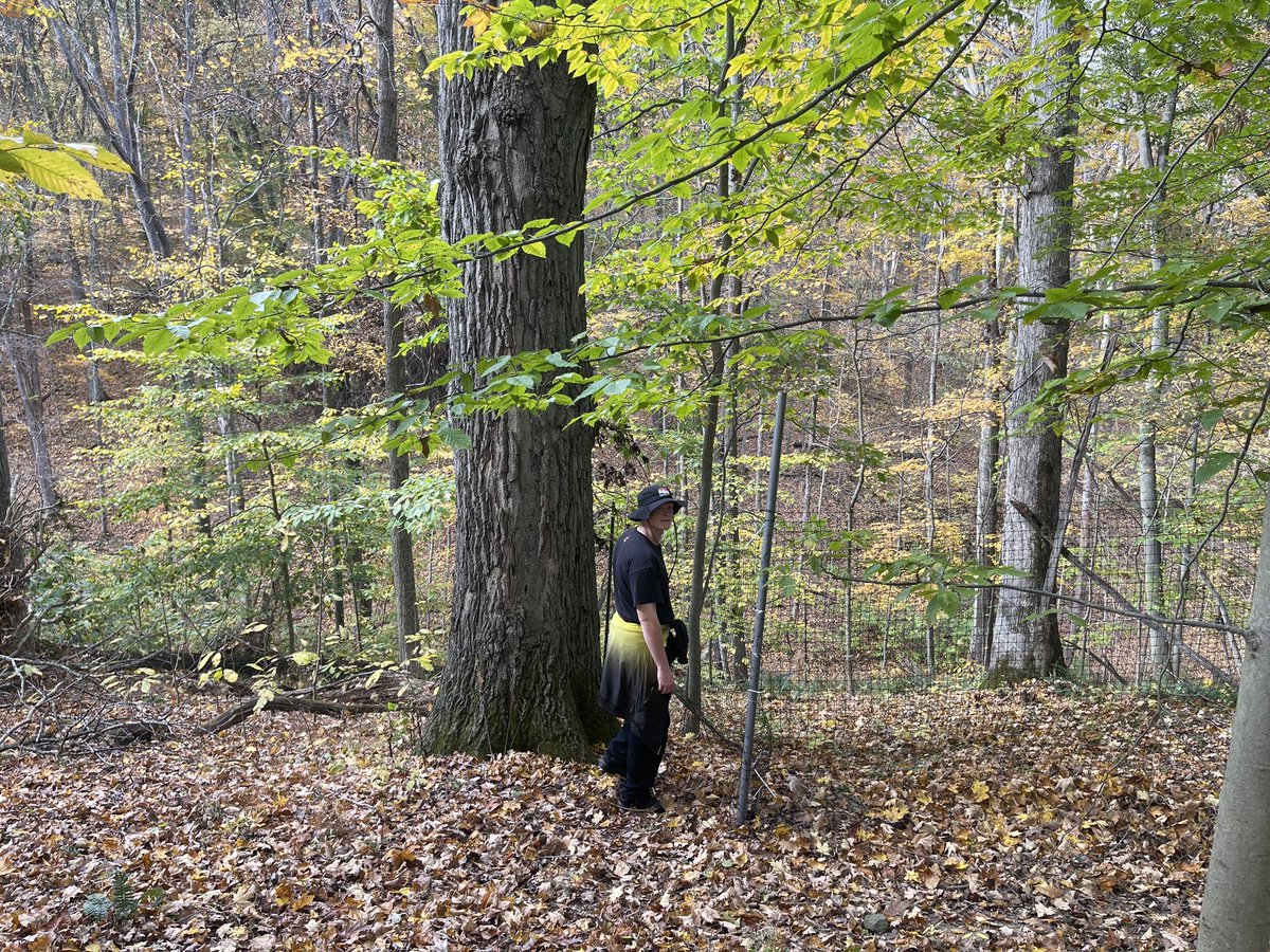 SarahRPowers's tweet photo. Another #fieldlabfriday @IUONeill @IULimnologyLab 
We had a great time looking for deer scat and looking at deer exclosers! https://t.co/Wwy7R4uqmf