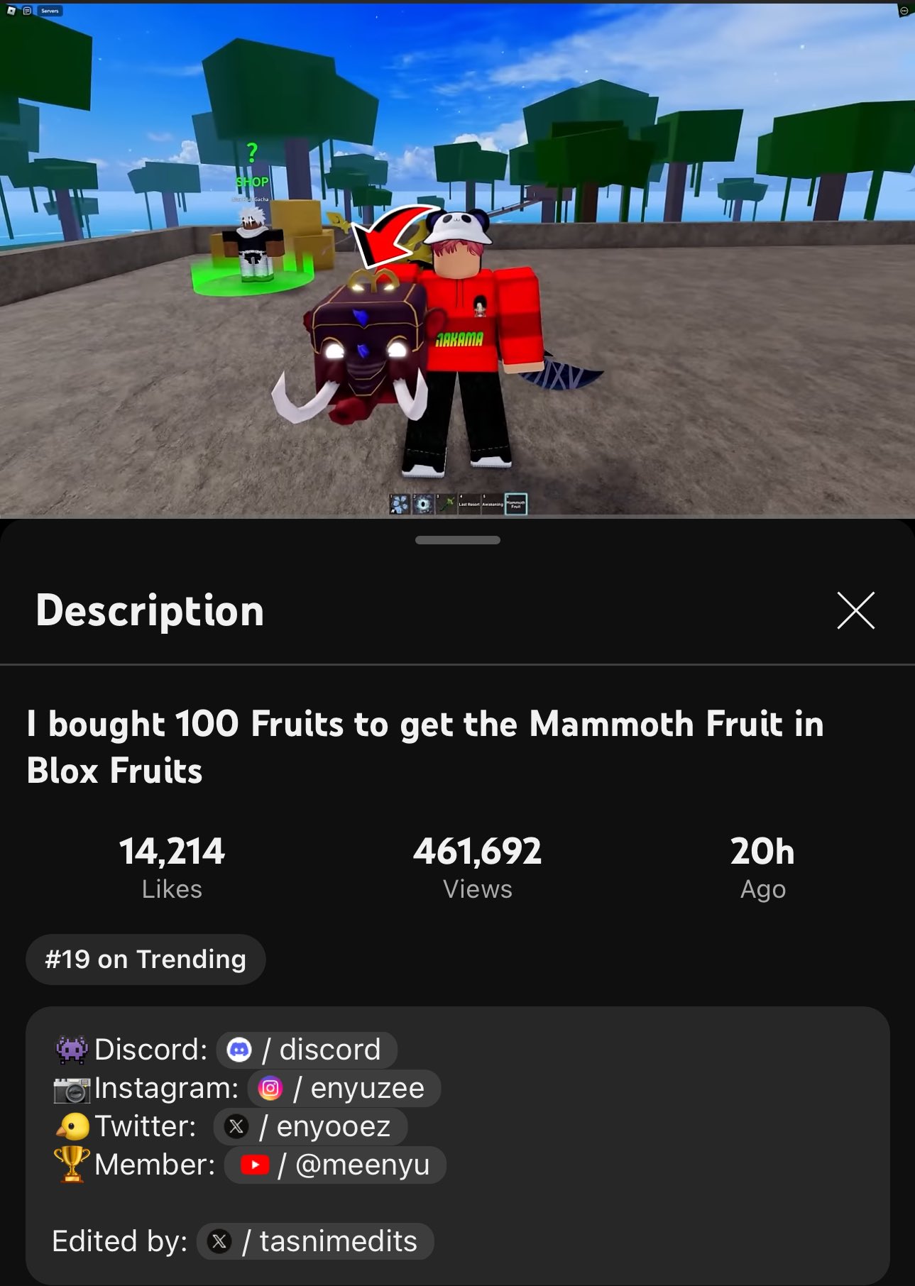 19) Blox Fruits (@BloxFruits) / Twitter in 2023