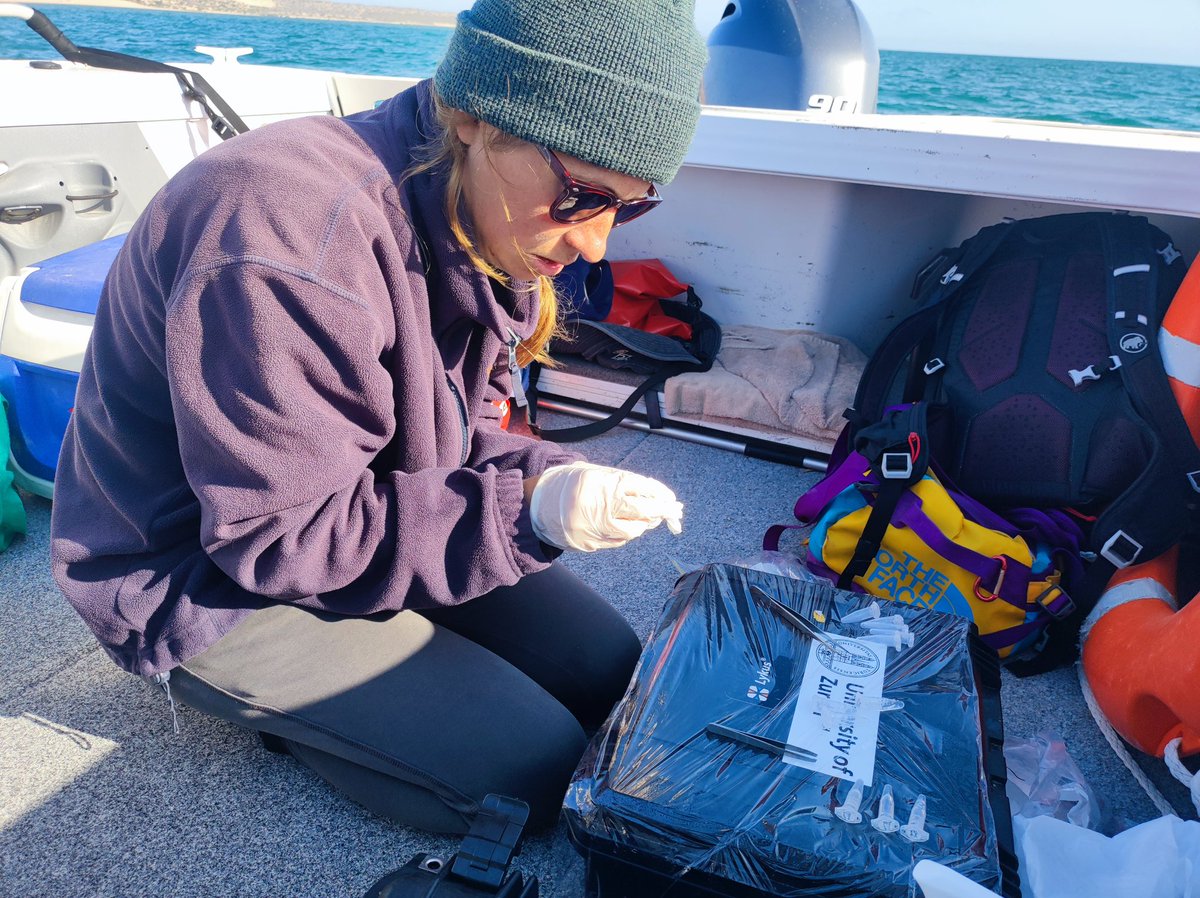 Wrapping up another incredible field season in Shark Bay🐠🐟🐬🐋 - our fourth year of eDNA samples are safely tucked away in their tubes 🧬🧪! Greatful for the incredible support that made it all possible! @ResearchDolphin