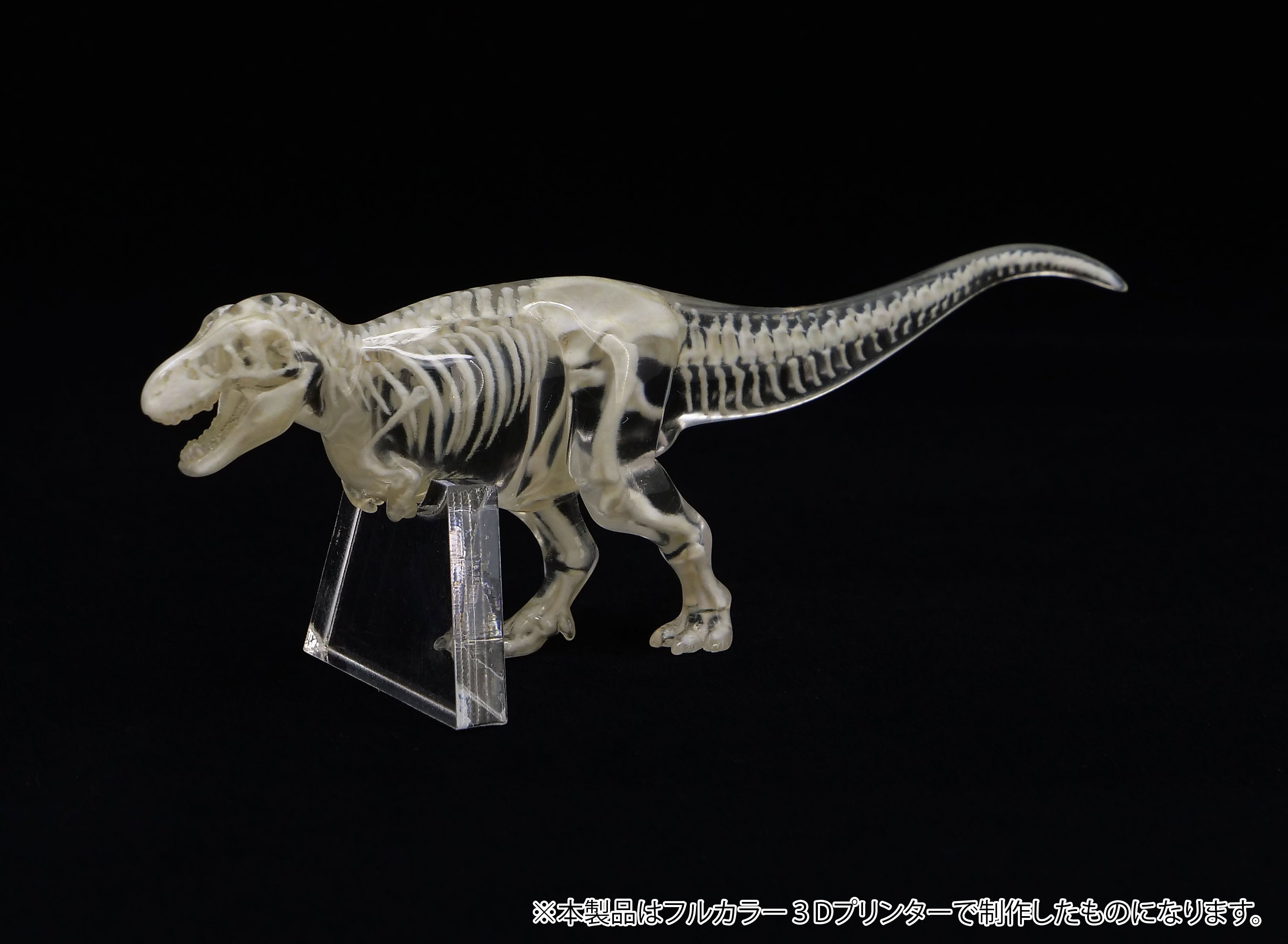 3d_toyfeather 玉骨標本 イーグル 24羽限定 3Dプリンター