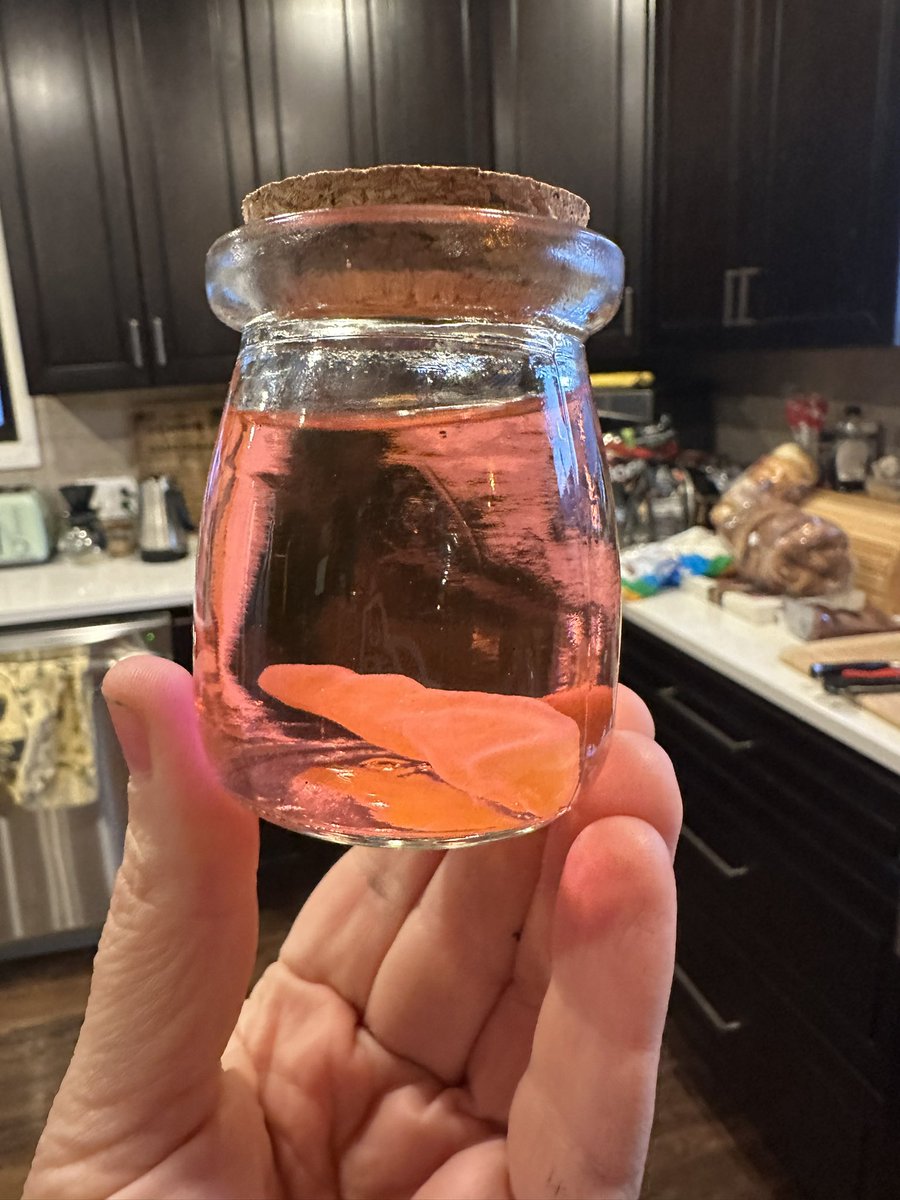 I’m having a Baldur’s Gate themed Halloween party so I made tadpole shots 🦑