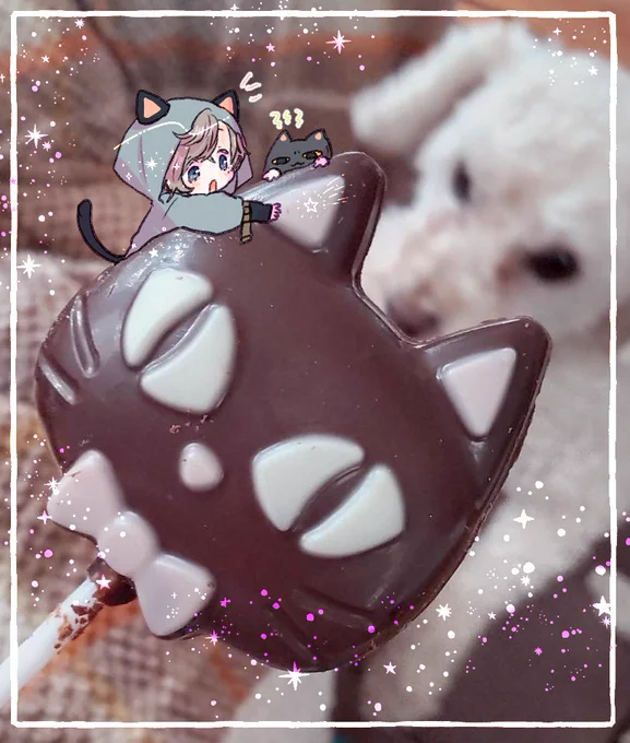 目が合ってしまった