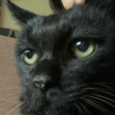 hako405's tweet photo. #新しいプロフィール画像 https://t.co/H4shYBTSLn