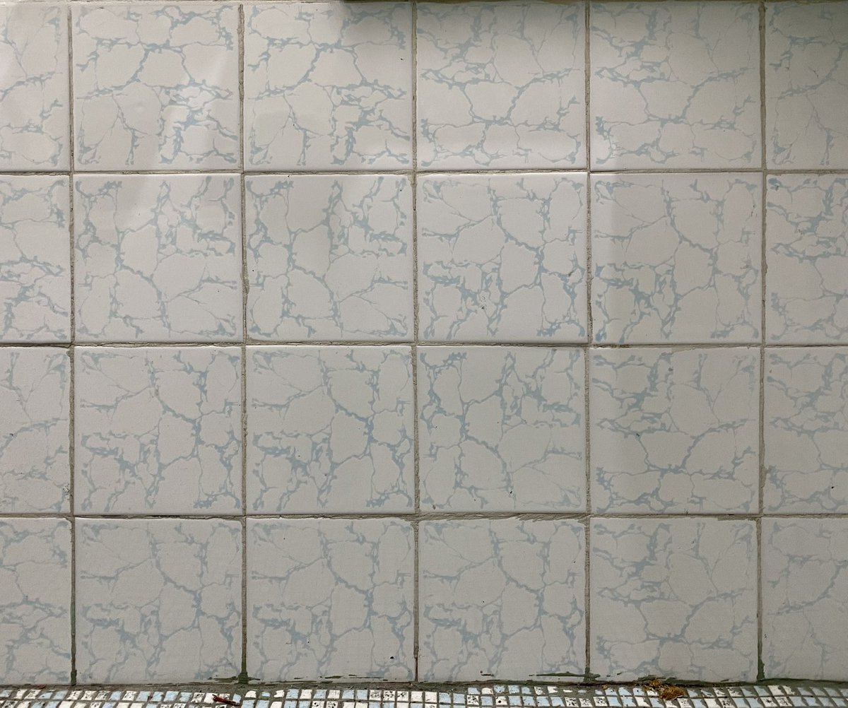 chrismbr's tweet image. Some ‘marble effect’ bathroom tiles that aren’t chickens! At #TheatreWorks’ new space the #ExplosivesFactory.
