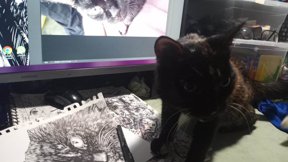 MrScratch0753's tweet photo. #inktober2023 Day 27. Not quite finished, but the subject has demanded a work stoppage. π€ #inktober #penandink #pets #cats #cathole #blackandwhiteart #petart #techpen #drawing #sketch #Kitty #KittyTwitter https://t.co/qW8opHXKrc