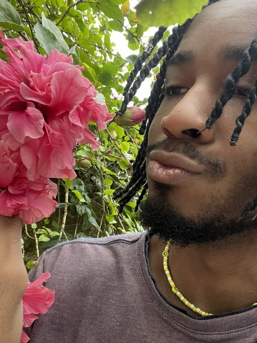 rosas vermelhas significam amor, paix&atilde;o, sedu&ccedil;&atilde;o e desejo. Rosas Brancas s&atilde;o pureza, inoc&ecirc;ncia, paz,
