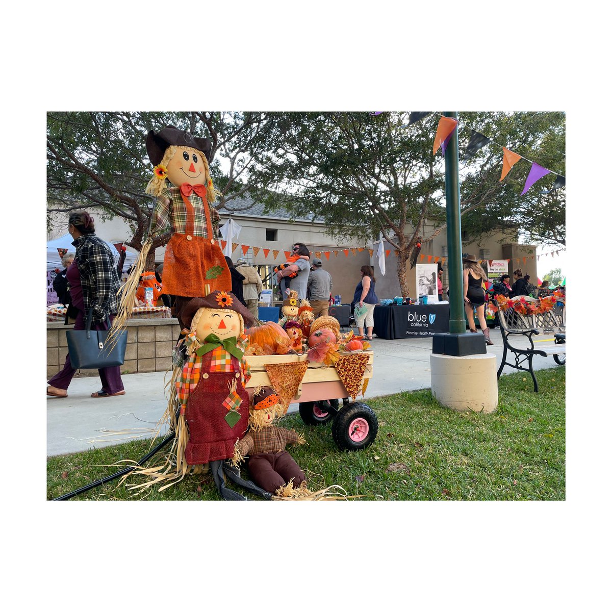 Chula Vista Community Collaborative tweet media