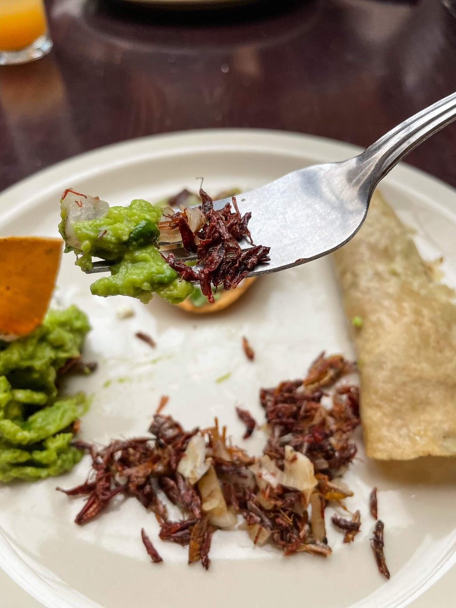 Do people really eat chapulines aka grasshoppers? Yes! And they really are a tasty salty bite! Read more 👉 bit.ly/3Zd8PIx #Oaxaca #Mexico #foodie #travel #traveltips