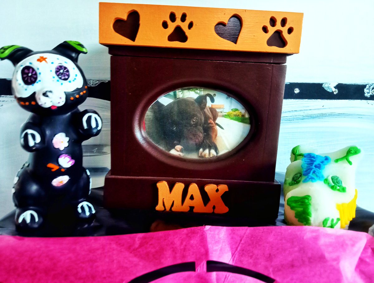 Max ❤️
#27deoctubre✝️💀🐶🐾 #perritos 
#tradicion #diademuertos💀 #diademuertosmx #diademuertosmexico #diadelosmuertos #diademuertos #27deoctubrediadelasmascotas #díademuertos