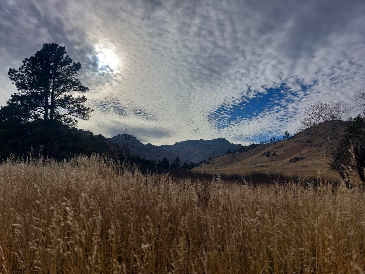 Charles Hoskinson tweet media