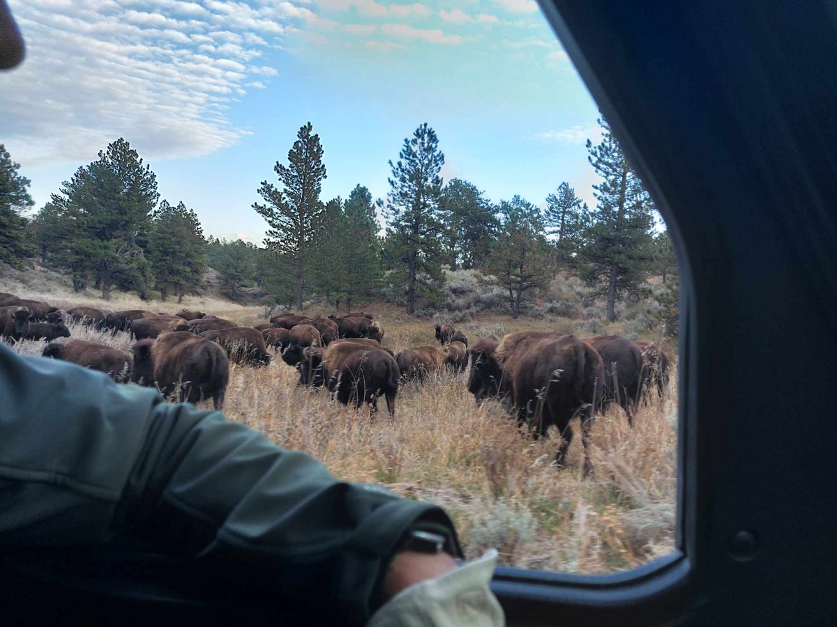 Charles Hoskinson tweet media