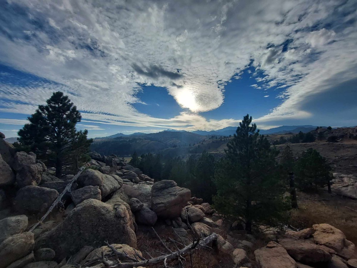 Charles Hoskinson tweet media