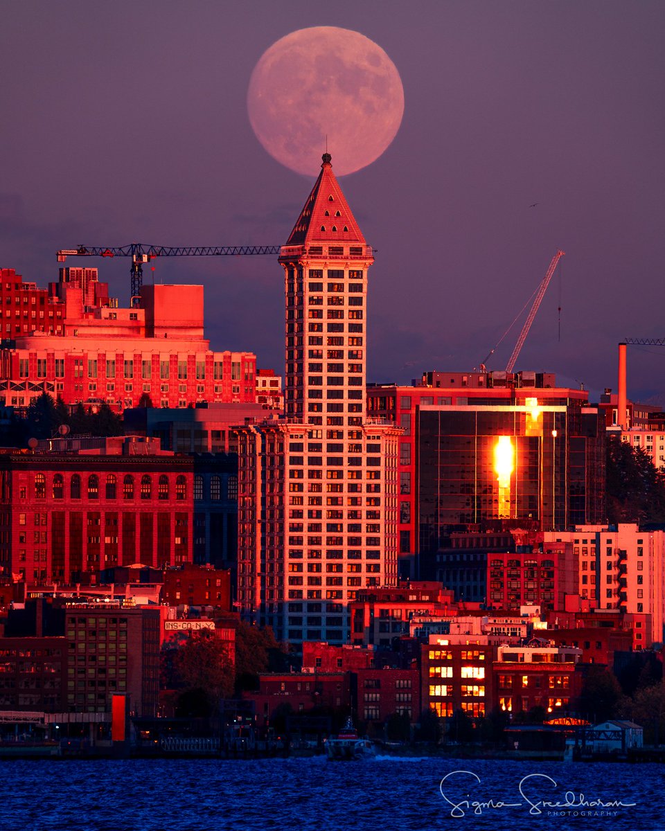 sigmas's tweet photo. #HuntersMoon rising behind #SmithTower at #Sunset today(Friday) in #Seattle with the golden light from the setting sun illuminating the skyline. https://t.co/SPEGpjz3Xe