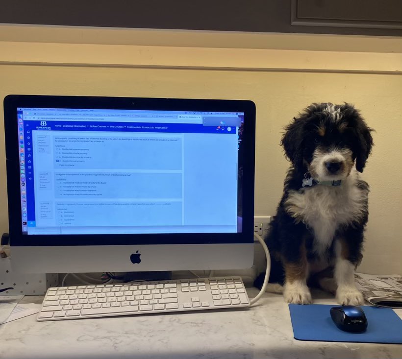 mchance1424's tweet image. I sure hope my school computer comes with a puppy!

#EdTechAtLATech