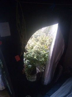 My tent gets full really fast.