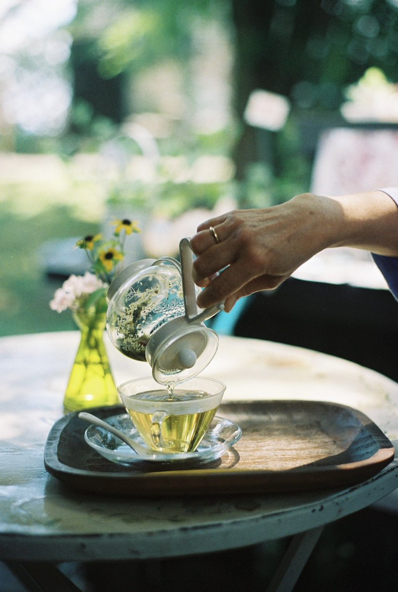 syk__photo's tweet photo. 森のガーデンカフェ☕️
お花のハーブティーでひと息。
現像 @tetsuya4281 さん
#pentaxlx #pentaxcamera #filmcamera #フィルムカメラ #フィルム写真 https://t.co/fBQ13KFzT1