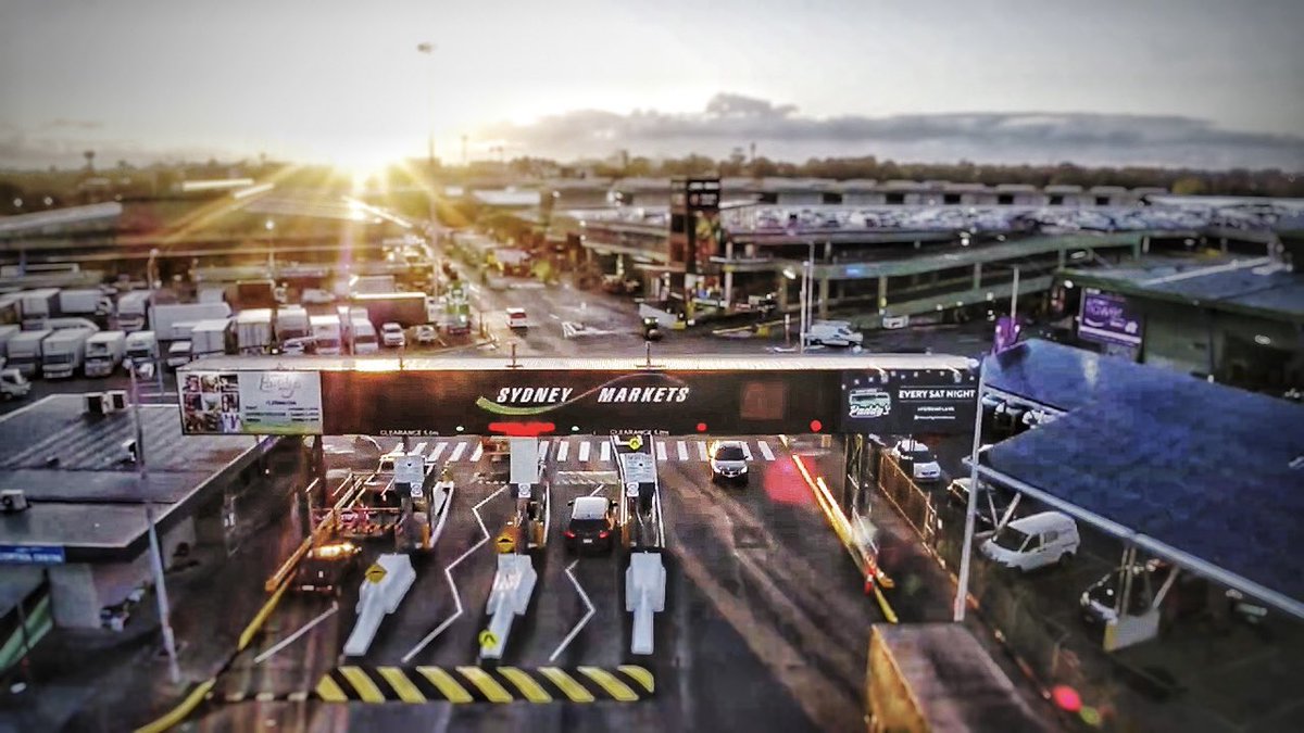Samir_kandel's tweet photo. I have documented my experience of grocery shopping at @sydneymarkets in a video format. 

The busiest market I have EVER been. Check out the video here:

https://t.co/m5EGYpfBDU https://t.co/eiAOsLHihf