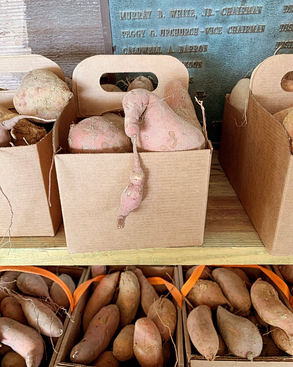 FreshHellll's tweet image. Nope.